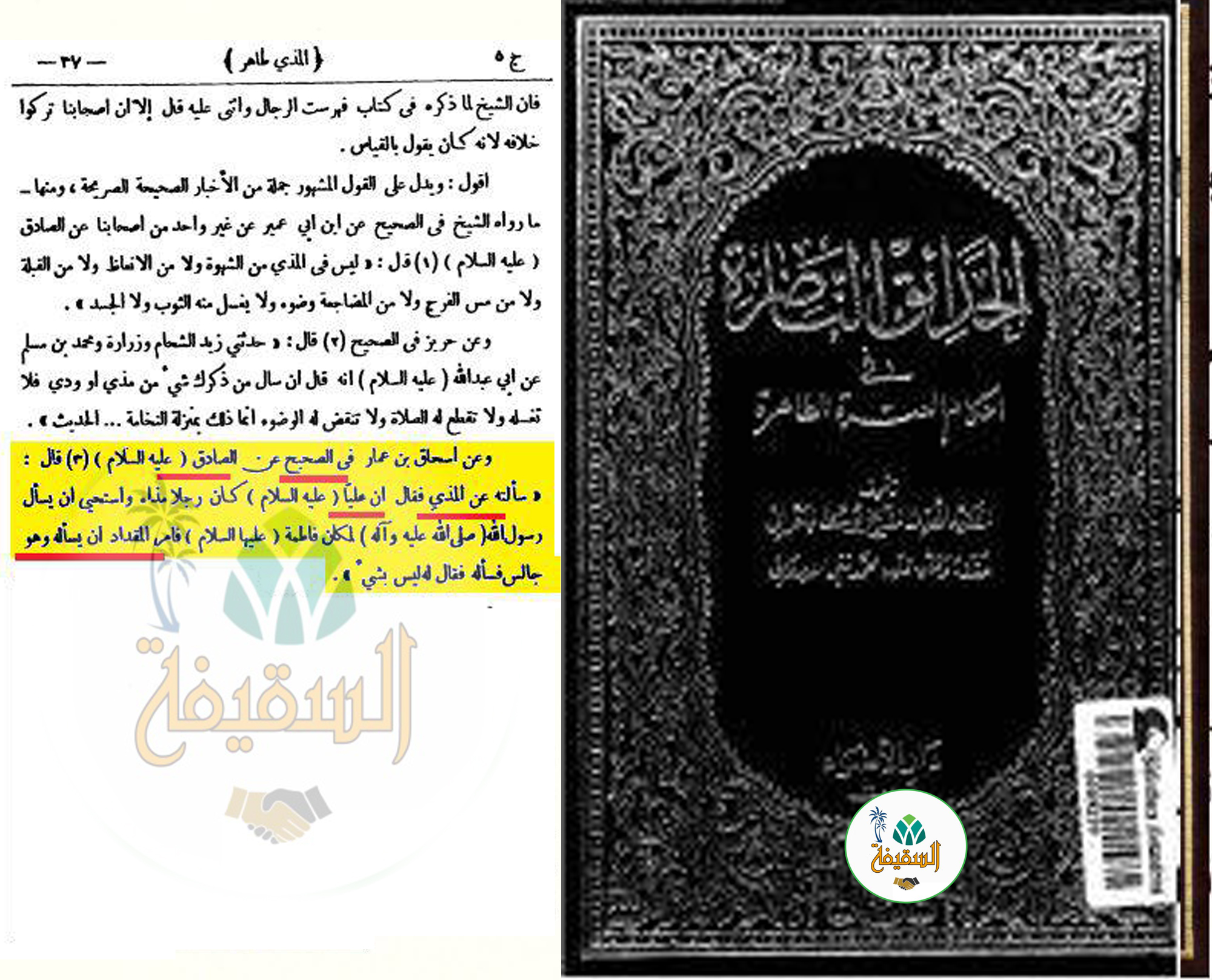 شبهة: إن عليا عليه السلام كان رجلا مذاء