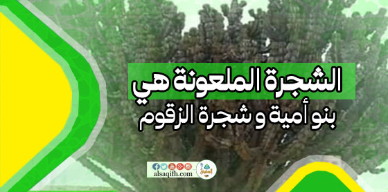 الشيعة: بَنُو أُمَيَّةَ هُمُ الشَّجَرَةُ الْمَلْعُونَةُ وأنها الزَّقُّوم